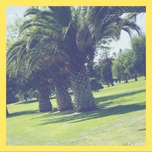 Meet your Posher, Camille